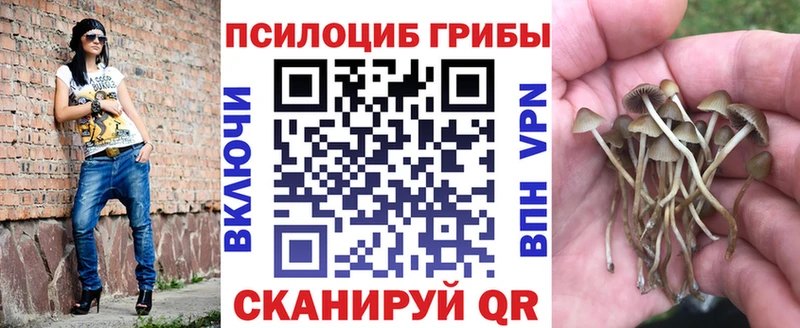 Купить закладки  Новый Уренгой  Галлюциногенные грибы Psilocybe 